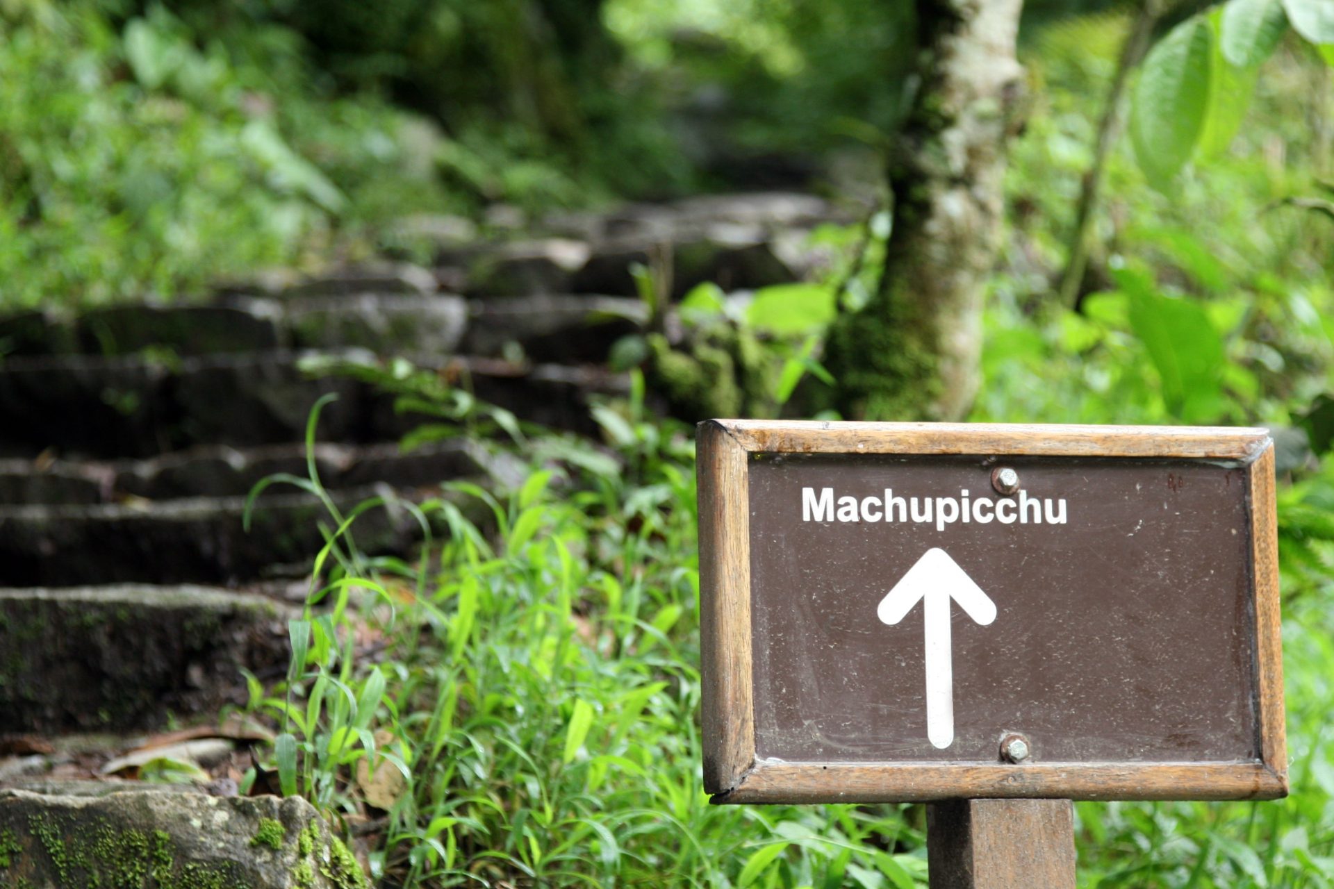 Inca Trail Sign in Tropical Forest, Machu Picchu, peru
