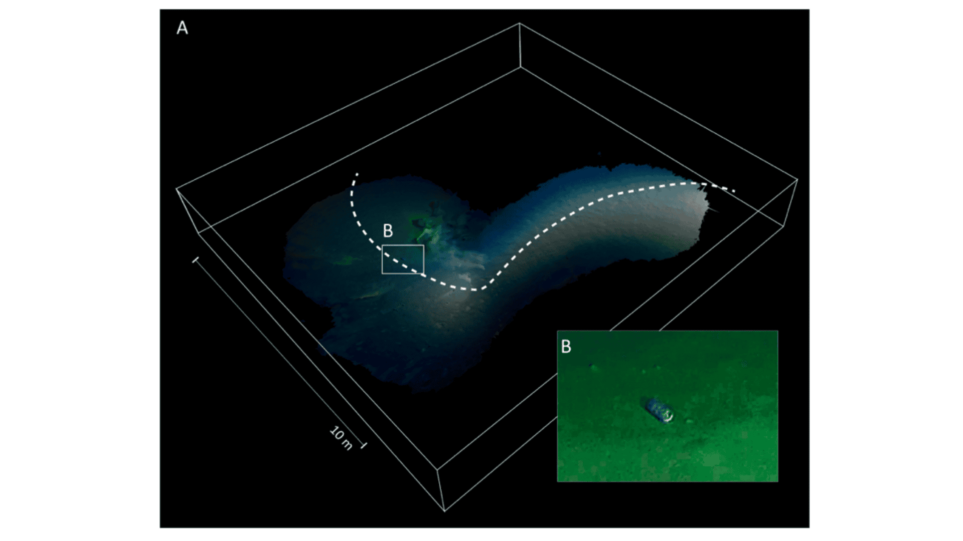 Fondale calypso deep