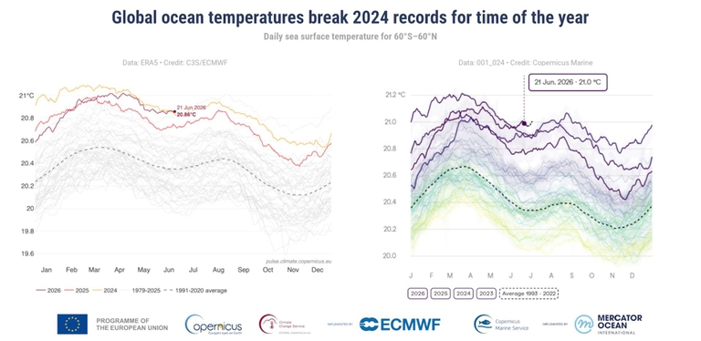 Il record registrato nelle temperature marine