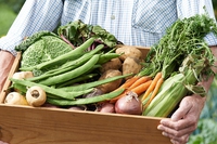 Let’s keep organic pure. As the business grows, so does the need for protection