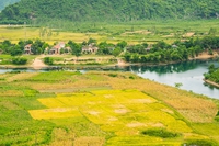 Gli erbicidi usati nella guerra in Vietnam continuano a inquinare l’ambiente e avvelenare le persone