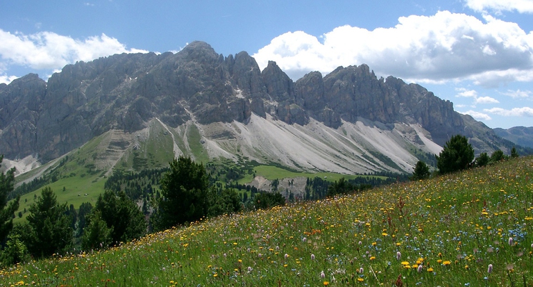 i prati magri del Trentino Alto Adige