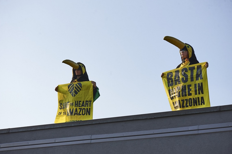 Attivisti di Greenpeace