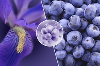 Come attenuare le rughe in modo naturale