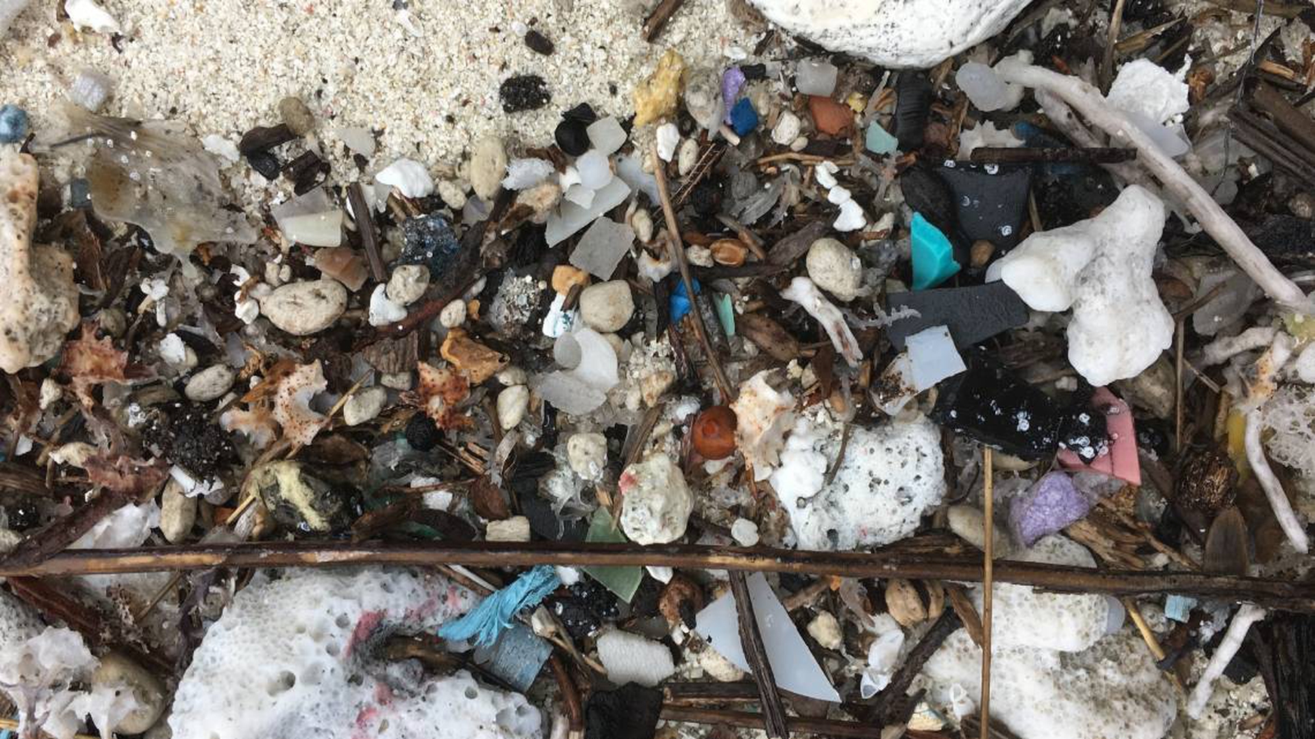 plastica isole cocos (4)