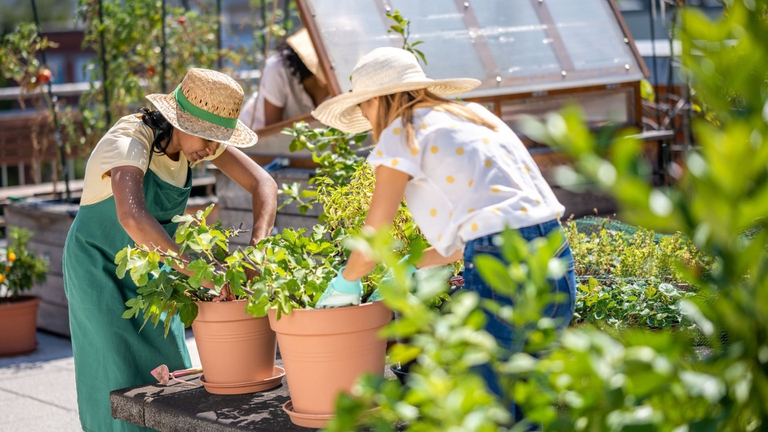 fare giardinaggio insieme