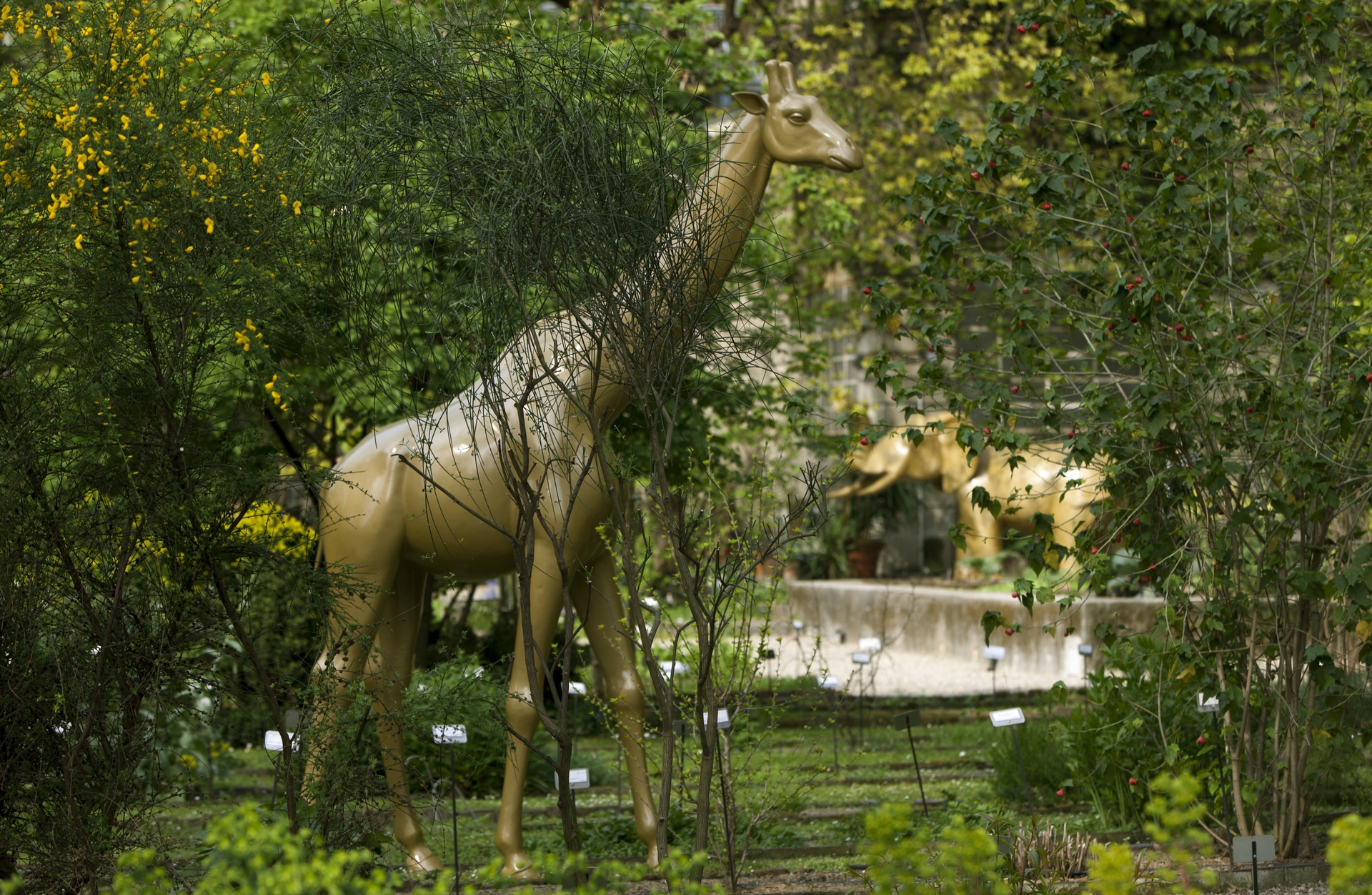 The Garden of Winiders_installation view 2_ph Adriano Brusaferri