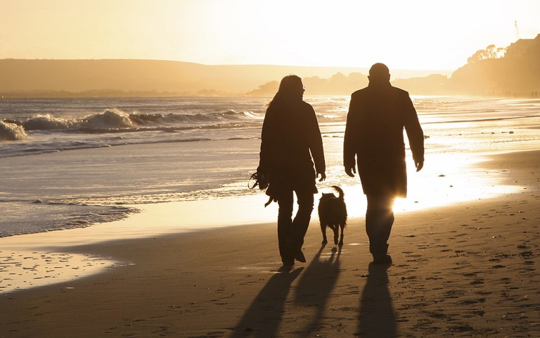 Silhouettes on the Sand