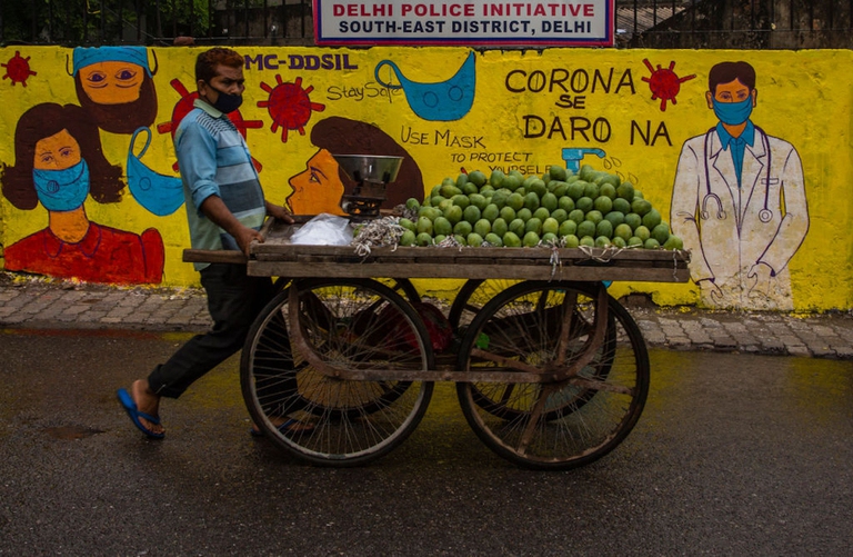Non solo grano, il mango è l’altra vittima del caldo estremo in India e Pakistan