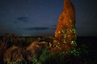 There aren’t enough protected areas in the world