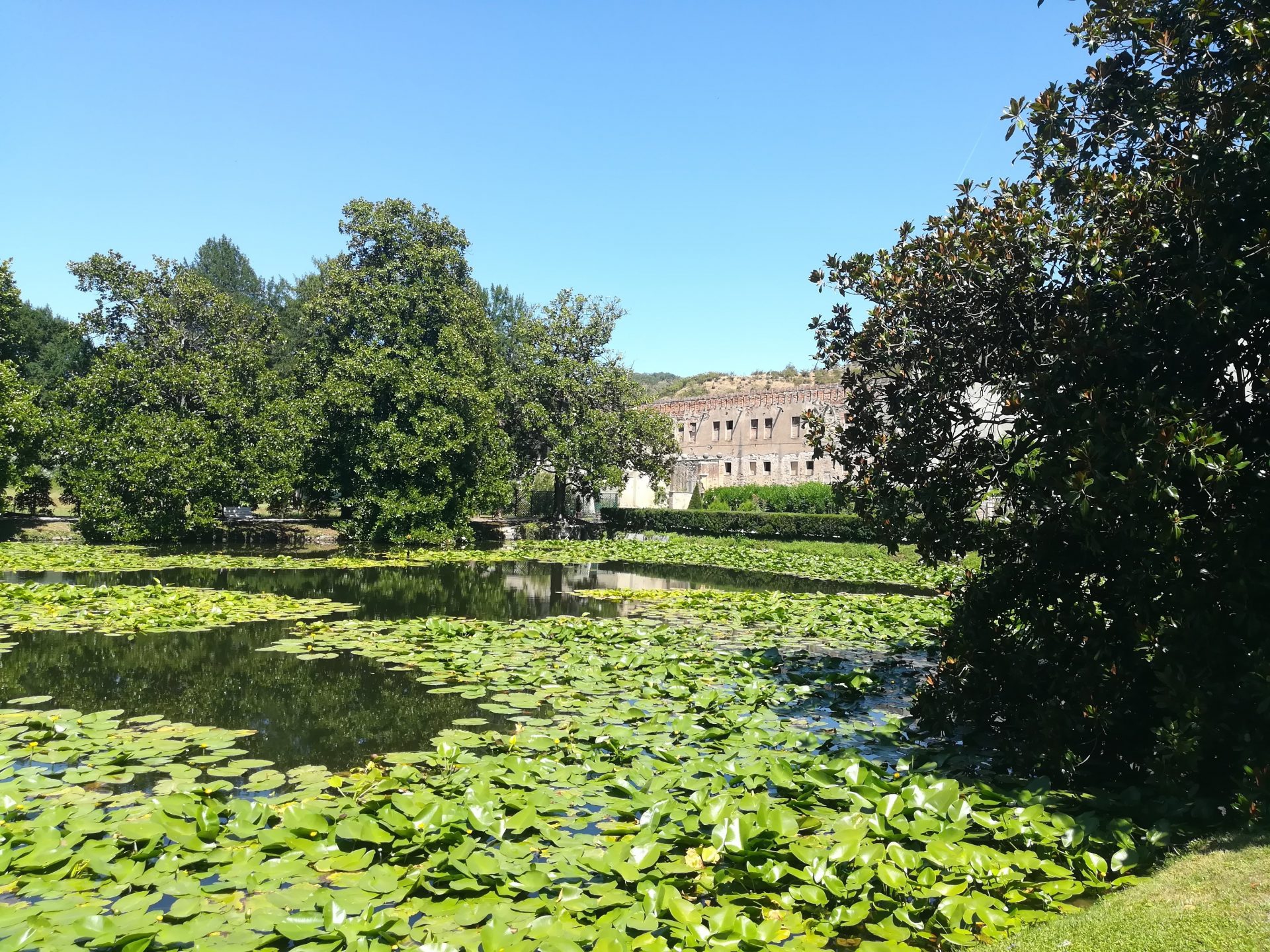Giardino delle delizie
