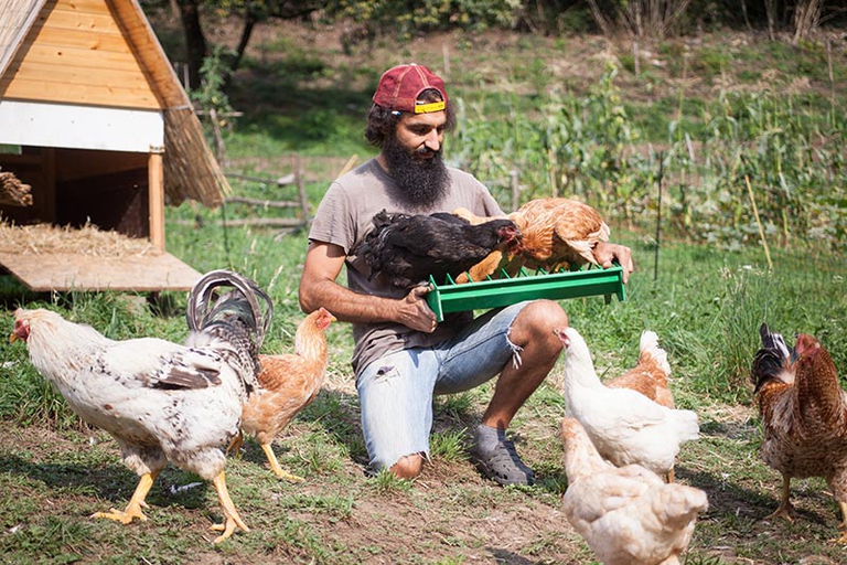 fattoria La capra campa