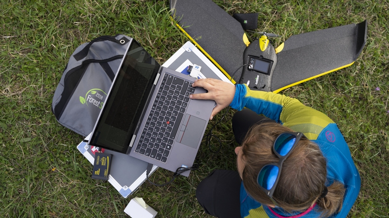 Forest Sharing tecnologia