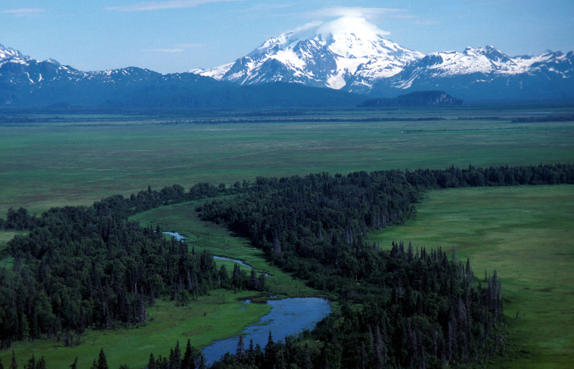 Arctic national wildlife refuge