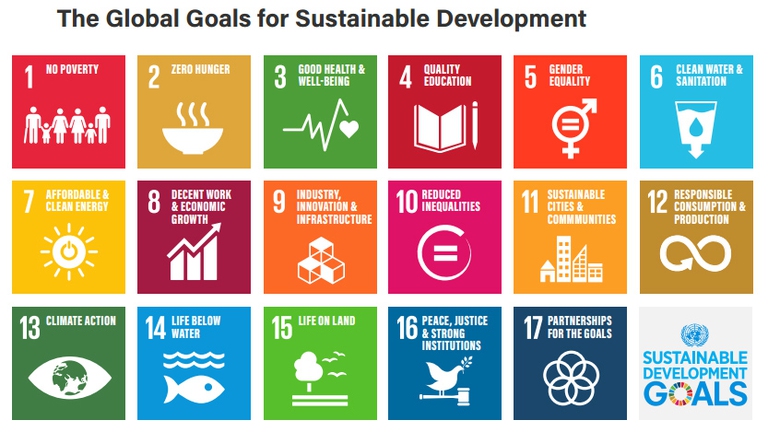 Gli Obiettivi di sviluppo sostenibile Onu (Sdgs).