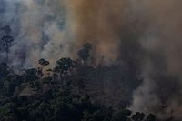 Brasile, inviati gli aerei dell’esercito per combattere gli incendi in Amazzonia