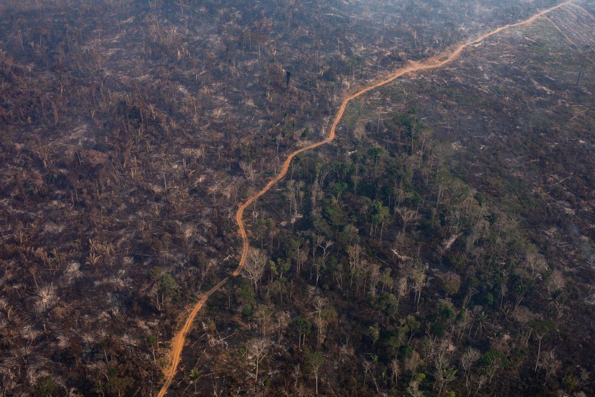 Record Number Of Fires Torch Brazil's Amazon Forest