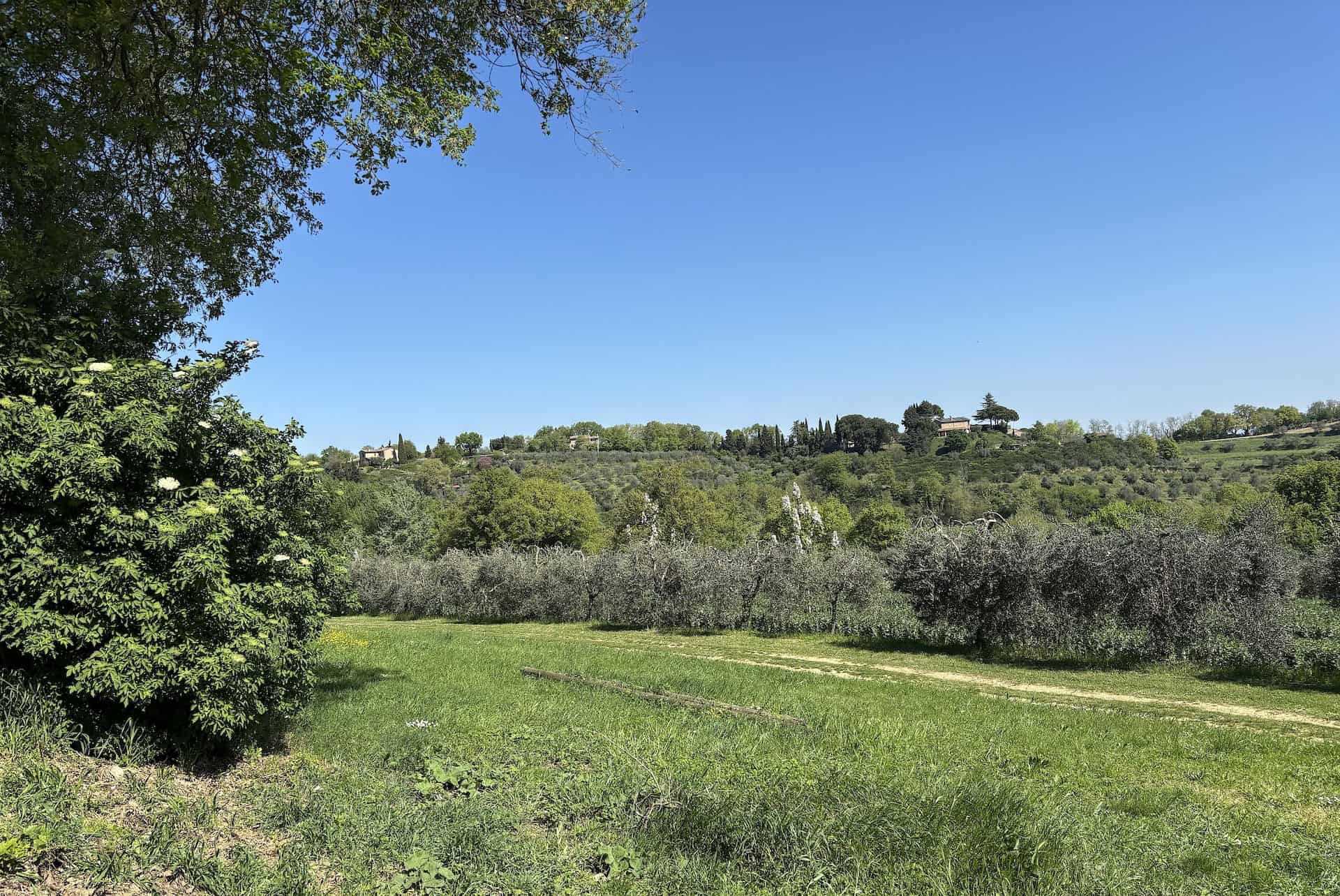 IMG_4353 di Beatrice Spagoni