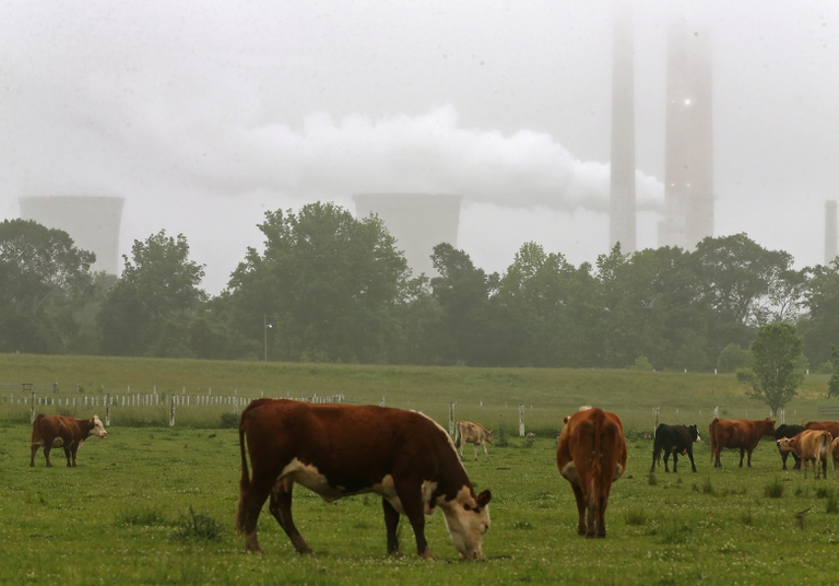 New EPA Regulation To Cut Emissions From Coal-Fired Plants In US
