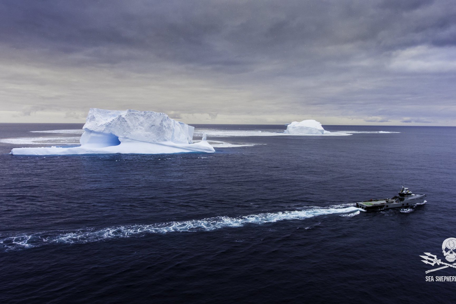 The Story Of Sea Shepherd, In Captain Alex Cornelissen's Words - Lifegate