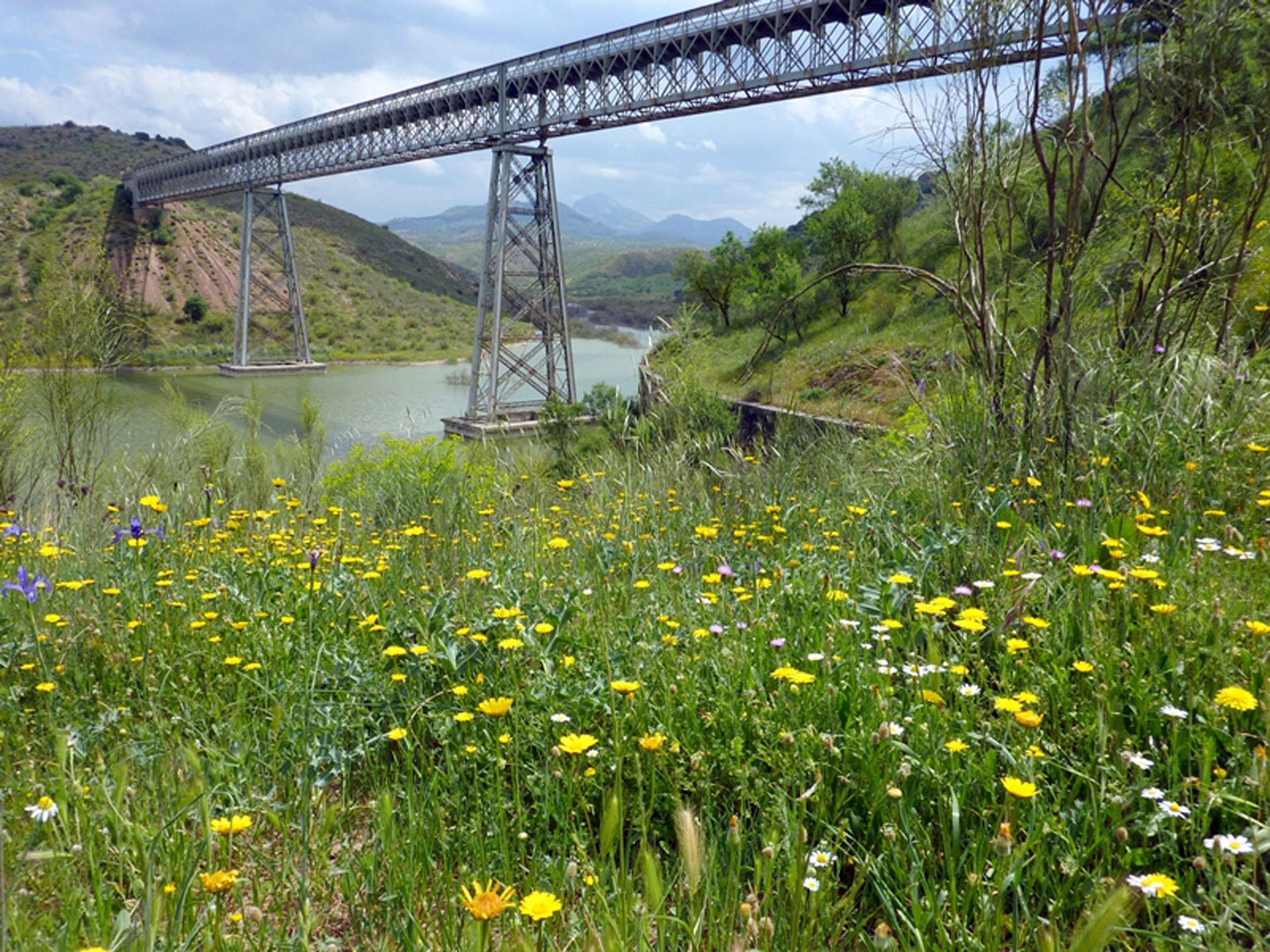 Via Verde Spagna VV del Aceite (Jaén, Andalusia)©FFE-Vías Verdes