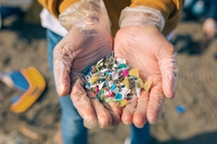 Usa, in un anno oltre mille tonnellate di microplastiche sono finite nei parchi