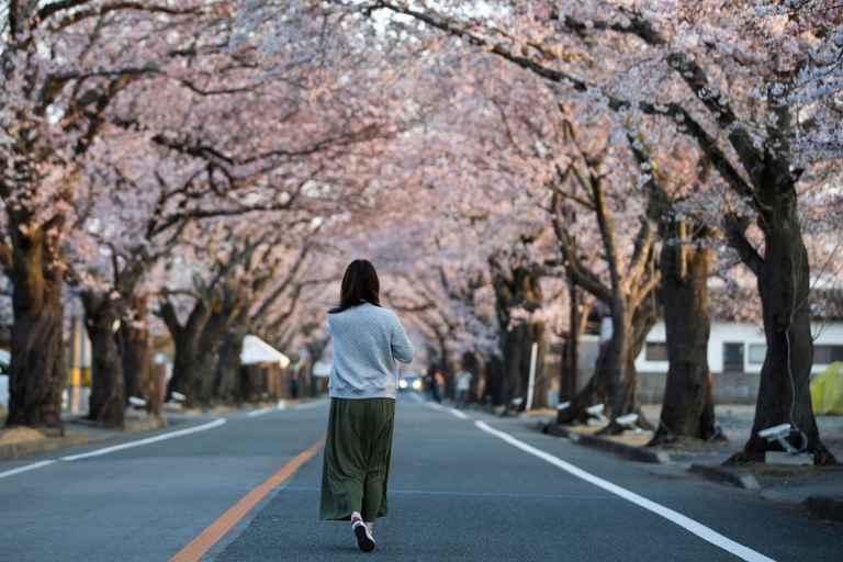 resilienza, Fukushima, il ritorno