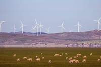 L’energia rinnovabile in attesa di autorizzazione basta per la transizione energetica italiana