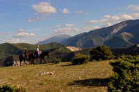Asini, cavalli e lama come compagni di viaggio