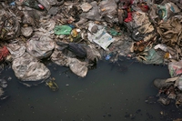 Il Bangladesh vieta la plastica monouso in spiaggia, negli alberghi e nei ristoranti
