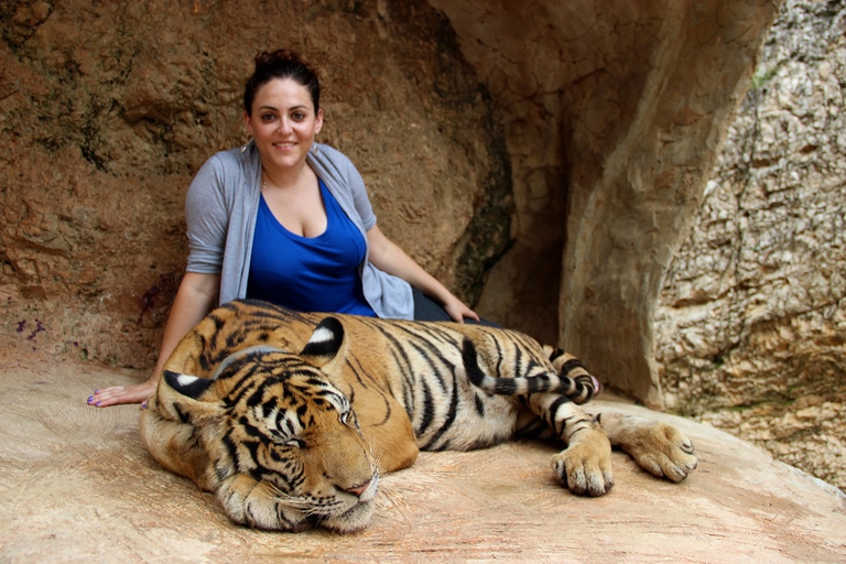 Turista si fa fotografare con una tigre
