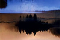 La natura in concerto
