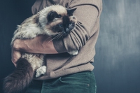 Cos’è e come si cura la filariosi nel cane e nel gatto