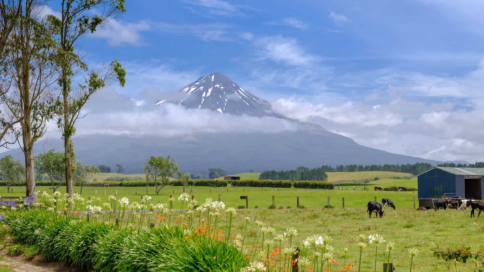 Nuova Zelanda, il monte Taranaki ha gli stessi diritti di un essere umano