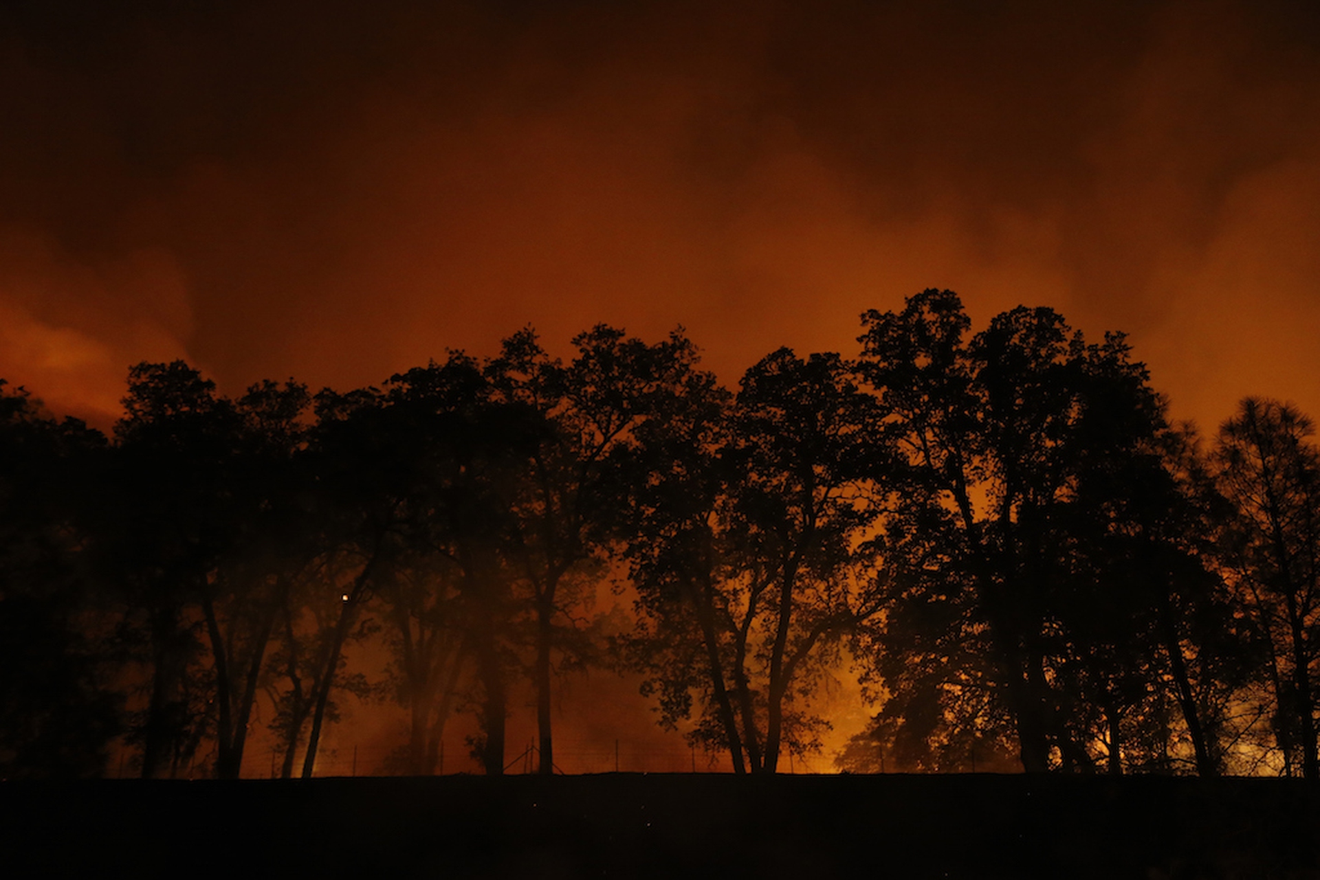 forest-burning-night