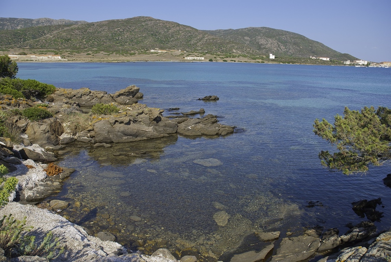 La costa del parco nazionale dell'Asinara