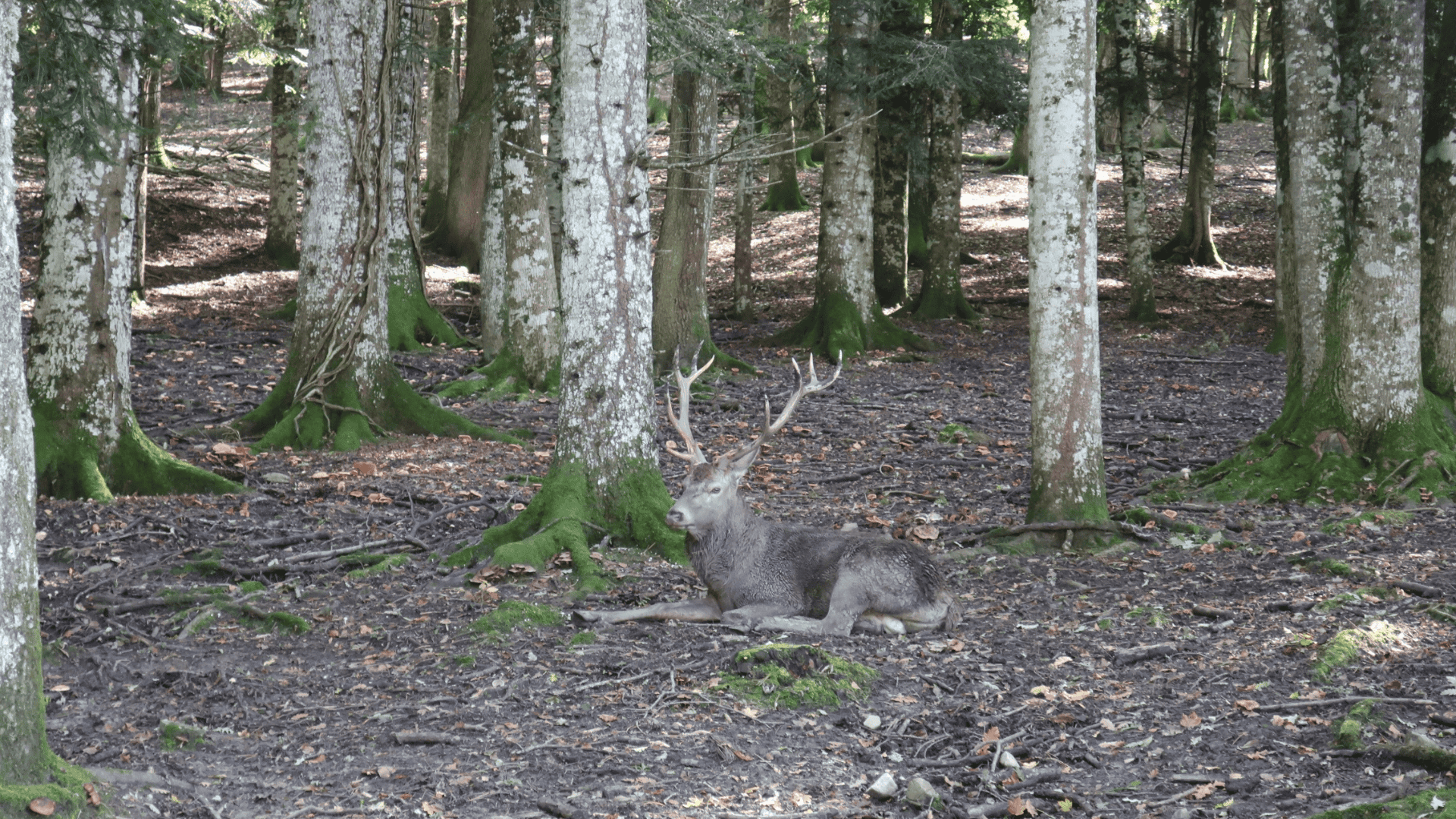 Riserva della Biosfera Unesco