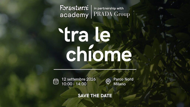 Tra le chiome, Forestami Academy, Gruppo Prada, 12 settembre