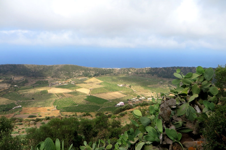 pantelleria