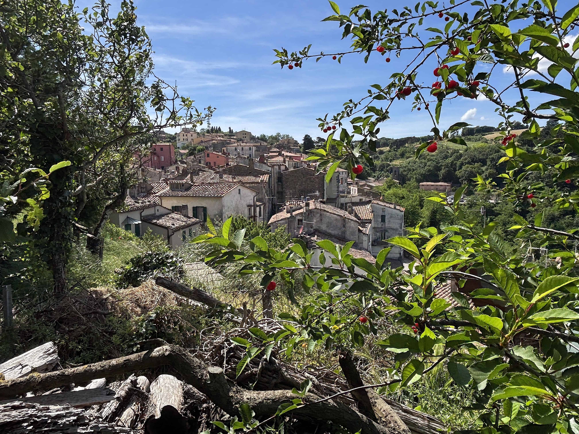 IMG_4908 &copy; Beatrice Spagoni