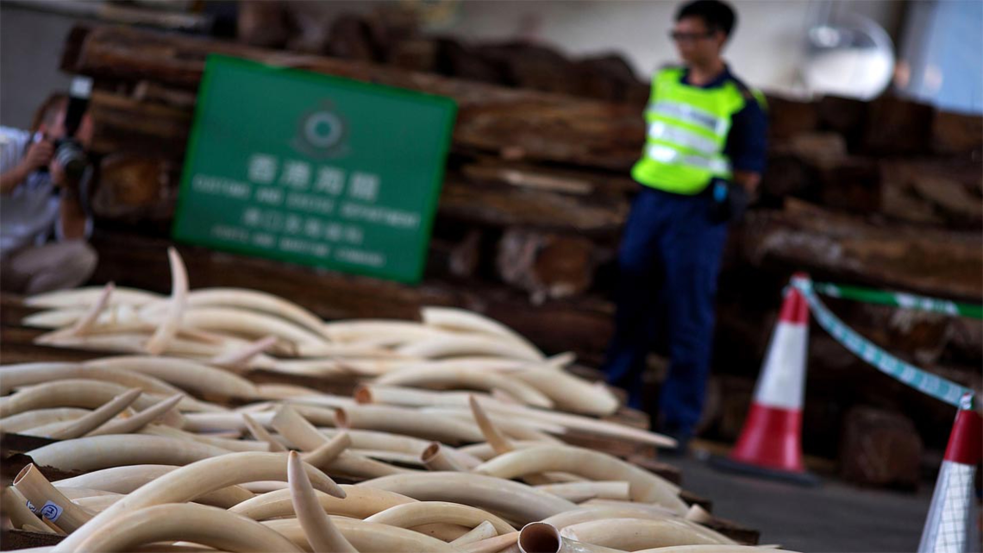 sequestri-avorio-cina