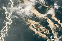 Una foto della Nasa rivela i danni dei cercatori d’oro nell’Amazzonia peruviana