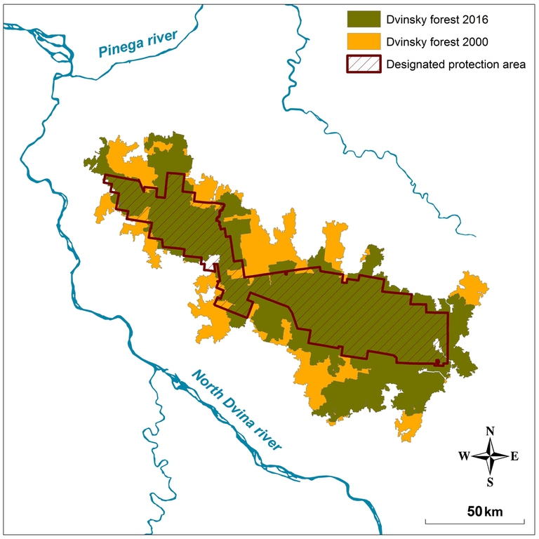 grande foresta del nord