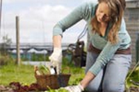 I lavori di maggio