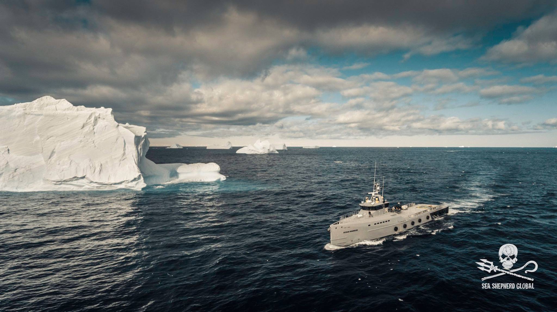 The MV Ocean Warrior passing icebergs on the search for the Nisshin Maru Photo- Simon Ager Sea Shepherd Global