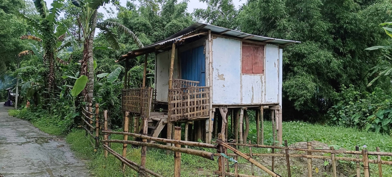 house in Salmora India