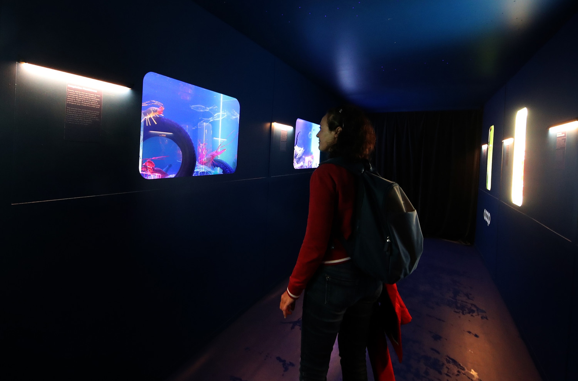 Coop alla Barcolana 2022