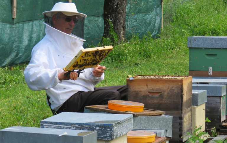 apicoltore al lavoro