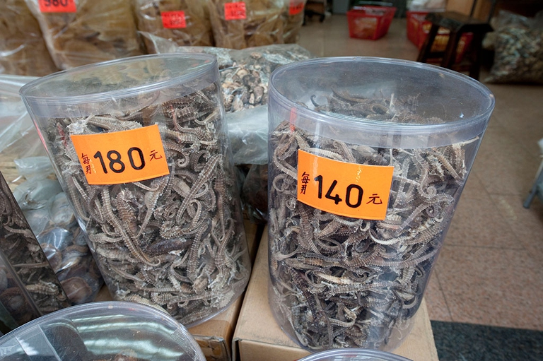 cavallucci marini venduti come afrodisiaci in Cina