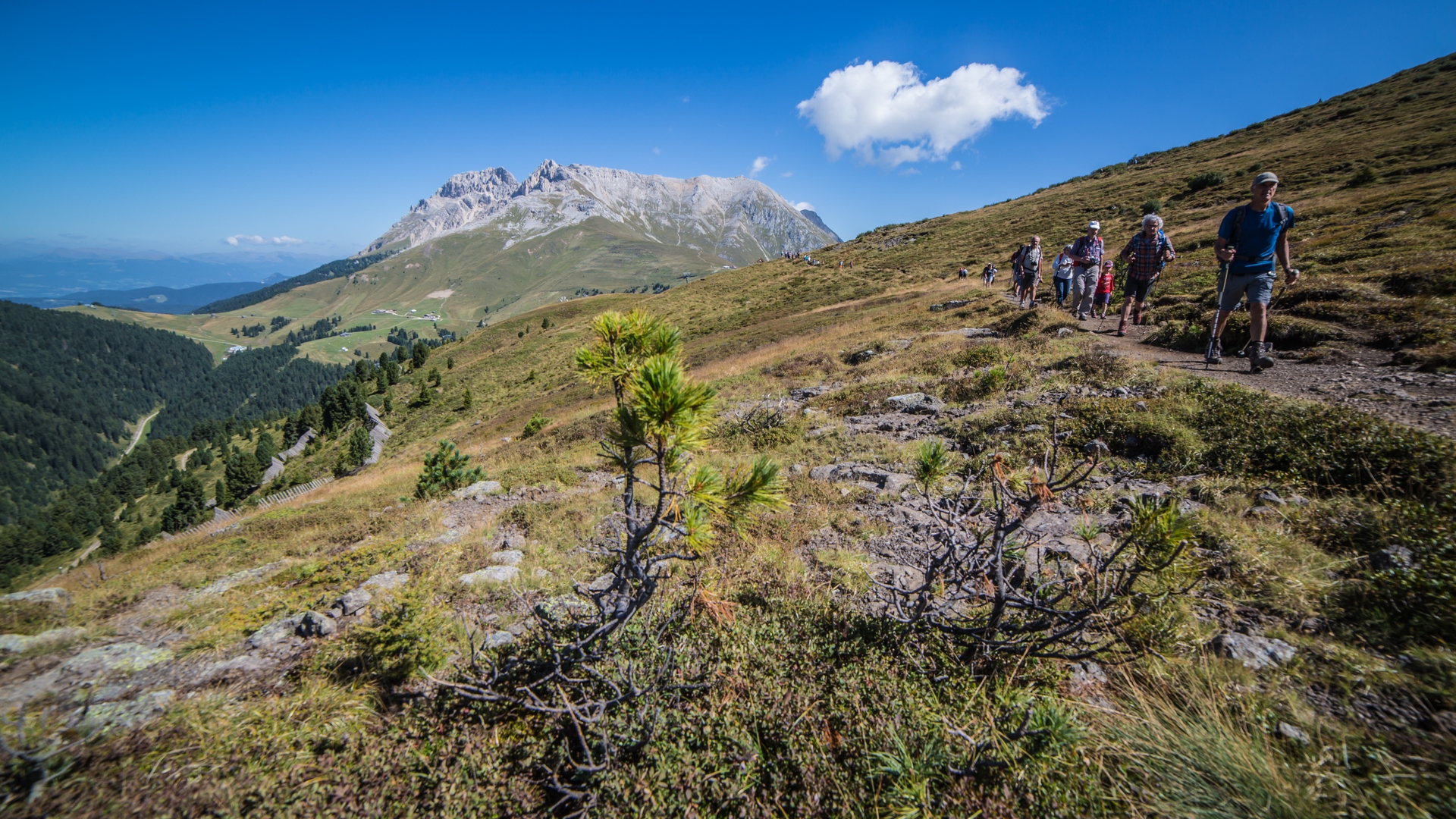 Respirart 6 © Trentino Marketing - T. Prugnola